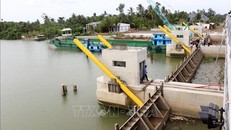 Cống Vũng Liêm - Một trong 3 công trình thuộc Tiểu dự án kiểm soát nguồn nước, thích ứng với biến đổi khí hậu vùng Nam Măng Thít (Vĩnh Long). Ảnh: Phạm Minh Tuấn/TTXVN