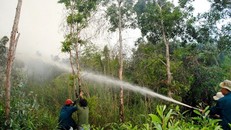 Chữa cháy rừng U Minh Hạ gặp khó khăn giữa mùa khô hạn- ảnh minh hoạ