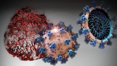 Một nhóm các nhà nghiên cứu quốc tế đã tìm thấy một loại thuốc thử nghiệm có hiệu quả ngăn chặn cửa tế bào mà SARS-CoV-2 sử dụng để lây nhiễm cho vật chủ.