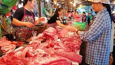 Người tiêu dùng nhìn chung vẫn ưa chuộng thịt lợn mới giết mổ