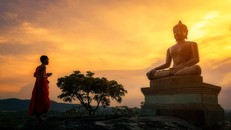 Đức Phật không phải là vị thần linh, thượng đế