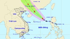 Thời tiết ngày 13/6: Bão số 1 gây mưa, biển động rất mạnh