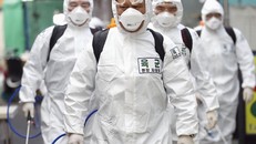 3 biến chủng của SARS-CoV-2 vừa được ghi nhận tại Hàn Quốc. Ảnh: Yonhap.