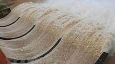 Ảnh minh họa. (Nguồn: TTXVN)