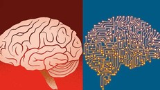 Quá trình tìm kiếm vật liệu trung gian kết nối giữa não bộ con người với AI vốn là thách thức lớn nhất đối với các nhà khoa học.