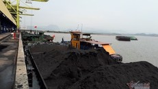 Than cho sản xuất điện phải nhập khẩu ngày càng nhiều