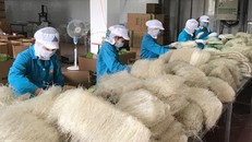 Các làng nghề chế biến nông sản, thực phẩm có nguy cơ ô nhiễm nguồn nước cao. Ảnh minh họa.