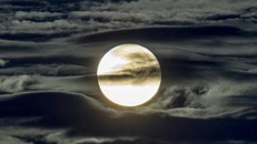 Bức xạ trên Mặt trăng cao hơn 200 lần trên Trái đất. (Ảnh: AP)