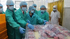 Thứ trưởng Phùng Đức Tiến (thứ 2 từ trái sang) tham quan quy trình chế biến sản phẩm cá ngừ của Công ty TNHH Hải Vương.