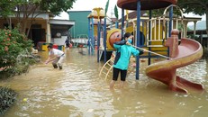 Bộ GD&ĐT kêu gọi các trường miễn giảm học phí cho sinh viên vùng lũ