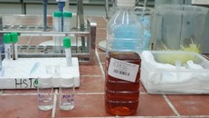 Mẫu rượu bệnh nhân uống được người nhà mang đến đem đi xét nghiệm cho thấy hàm lượng methanol là 20,21%, trong khi đó hàm lượng ethanol chỉ có 11,42%.