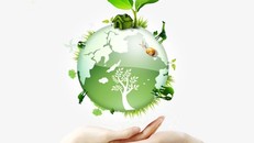 Rà soát Dự thảo Chiến lược bảo vệ môi trường quốc gia