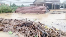 Thừa Thiên Huế: Mưa lũ, bão gây thiệt hại nặng nề
