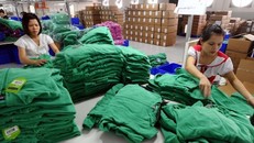 Xuất khẩu Việt Nam vào khu vực EAEU mới chỉ chiếm 0,5% thị phần