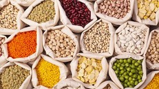 Ngũ cốc nguyên hạt có nhiều chất xơ giúp ngừa ung thư. 