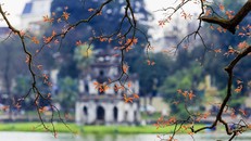 Cùng Bamboo Airways mở “đại tiệc bay” tại lễ hội hot nhất Hà Nội tháng 4 này