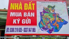 Chính phủ: Thổi giá đất sẽ bị xử lý nghiêm khắc