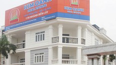 Công ty Kim Oanh 'đứng sau' các vụ án ngàn tỷ?