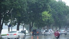 Chủ động ứng phó mưa lớn, lốc, sét và gió giật mạnh