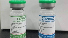 Vắc xin Covivac do Việt Nam nghiên cứu đã xong giai đoạn 1, với đánh giá an toàn, sinh miễn dịch khả quan. 