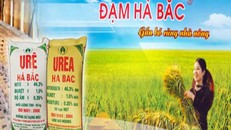 Đạm Hà Bắc bị nghi ngờ về khả năng hoạt động liên tục: Chủ nợ lớn nhất là VietinBank?