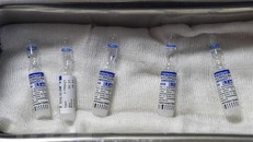 Thủ tướng Chính phủ giao Bộ Y tế hỗ trợ doanh nghiệp mua vaccine Sputnik V.