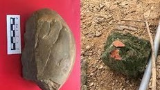 Phát hiện di tích khảo cổ học tiền sử tại Ngòi Sen