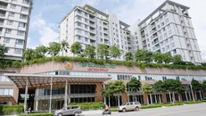 Tập đoàn Lộc Trời (mãLTG): Lợi nhuân sụt giảm, âm 1.286 tỷ đồng dòng tiền kinh doanh