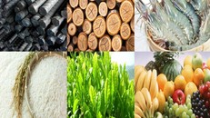 Bộ Công thương: Xuất khẩu hàng hoá suy giảm vì ảnh hưởng dịch COVID-19