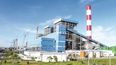 Người thân Phó TGĐ bị xử phạt, Nhiệt điện Phả Lại lỗ nặng trong quý 3/2021