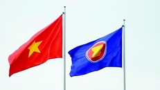 Việt Nam chủ động, tích cực, đóng góp trách nhiệm vào công việc chung của ASEAN ​
