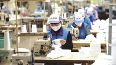 Chính sách hỗ trợ doanh nghiệp nổi bật của địa phương tuần qua