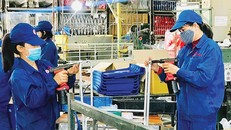 Chưa nhận được văn bản đề xuất gói phục hồi kinh tế 800 nghìn tỷ đồng