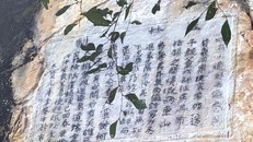 Cao Bằng: Cần có giải pháp hữu hiệu bảo vệ Bảo vật quốc gia