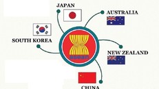 Từ 1/1/2022 Hiệp định Đối tác Kinh tế Toàn diện Khu vực (RCEP) có hiệu lực