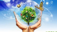 Tạo đột phá trong quản lý, bảo vệ môi trường