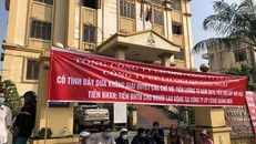 Licogi Quảng Ngãi bị xử phạt vì sai phạm trong công bố thông tin