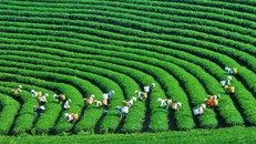 Phát triển kinh tế tuần hoàn làm động lực cho nền kinh tế xanh