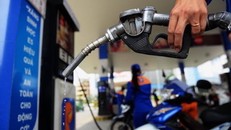 Trình Nghị quyết giảm thuế bảo vệ môi trường đối với xăng, dầu, mỡ nhờn