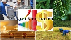 Chính phủ yêu cầu các Bộ, ngành, địa phương quản lý chặt chẽ giá cả, thị trường những tháng cuối năm 2022.