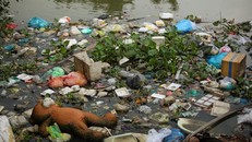 Nhiều con kênh ở TP. HCM bị ô nhiễm trầm trọng do tình trạng xả rác thải bừa bãi xuống kênh. 