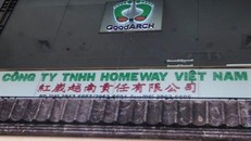 Xử phạt và thu hồi giấy phép hoạt động đa cấp của Homeway Việt Nam