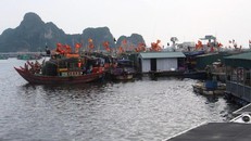 Công ty Sa Vĩ: Trúng hàng chục gói thầu, doanh thu trăm tỷ nhưng lãi chưa được 1 tỷ