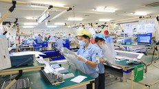 Có hơn 14 nghìn doanh nghiệp mới thành lập trong tháng 3/2023