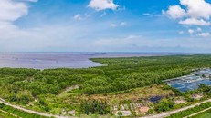 Bộ TNMT đề nghị tỉnh Thái Bình làm rõ việc thu hẹp khu bảo tồn thiên nhiên Tiền Hải