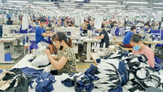 Công ty cổ phần Đầu tư và Thương mại TNG đang nỗ lực giảm tối đa tác động của biến động xăng, dầu đối với sản xuất hàng may mặc xuất khẩu. 