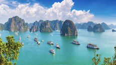 Tại vịnh Hạ Long, du thuyền là hình thức du lịch truyền thống. 