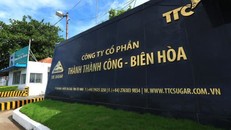 Công ty cổ phần Thành Thành Công – Biên Hòa (SBT) là một trong những doanh nghiệp lớn của ngành mía đường Việt Nam. 