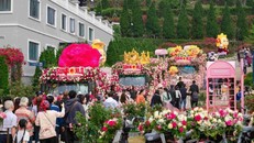 Du khách hào hứng check-in tại không gian rực rỡ của Lễ hội hoa hồng Fansipan trong kỳ nghỉ lễ Giỗ Tổ