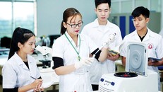 Sinh viên Khoa Khoa học tự nhiên (Trường đại học Hùng Vương) nghiên cứu, thực hành hóa sinh học. (Ảnh minh họa)